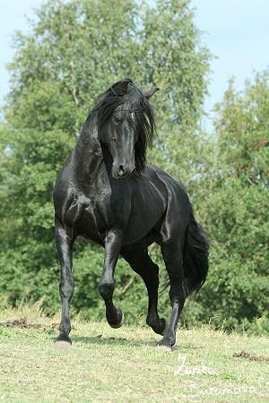 staj-ufonek2594